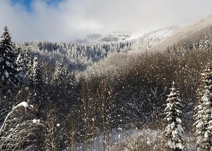 La Buca Delle Fate Ristorante מלון 2*
