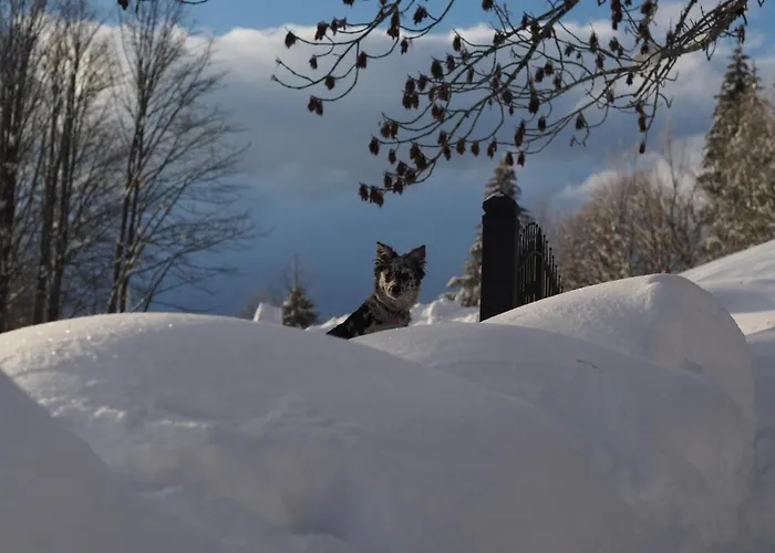 מלון La Buca Delle Fate Ristorante 2*